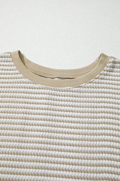 Vanessa Knit Ribbed Trim Long Sleeve PLUS Top
